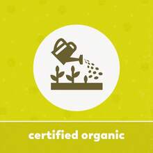 Yupik Organic Super 6 Seeds Mix, 22 Lb (352 Oz), GMO-Free, Kosher, Vegan, Rich In Fiber, Nutritious Raw Snack &Amp; Topping, With Brown &Amp; Golden Flax Seeds, Sunflower, Sesame, Chia &Amp; Pumpkin Seeds - Flavor NameA - 查看 5