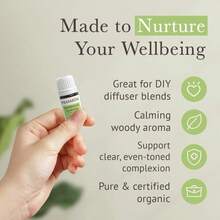 Pranarom USDA Certified Organic Rosemary Cineole Essential Oil (5ml), 100% Pure Undiluted Therapeutic Grade From Tunisia For Aromatherapy, Diffuser, Meditation, Massage, Relaxation - Flavor NameN - 查看 5