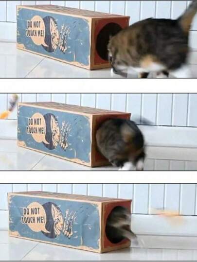 1pc Funny Cat Tunnel Toy Foldable Holes Kitten Kraft Paper Tunnel Cave Cat Toy