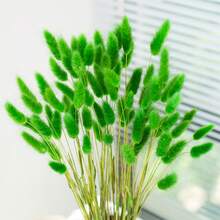 60/120/240 pièces Arrangements de fleurs artificielles avec herbe de pampa séchée naturelle et fleurs de pissenlit, convient pour la décoration de la maison, du mariage, du bureau et du café. Idéal comme cadeau pour la Saint-Valentin et la Fête des Mères.