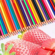 Conjunto de Lápis de Cor com Tema do Stitch em Balde - 12/36 Cores, Design Fofo de Desenho Animado do Stitch, Lápis de Colorir Premium para Crianças e Adultos