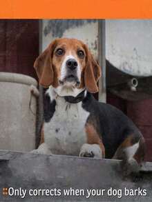 USB Rechargeable Automatic Anti-Bark Dog Collar, Waterproof Anti-Barking Training Collar, Control Collar, Smart Bark Stopper, Pet Supplies, Suitable For Small & Medium Dogs, All Breeds, Black