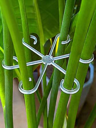 8pcs/4 Of Plant Supports, Sturdy Climbing Plant Stem Clips, Vine Holders, Indoor Flower Stem Holders, Plastic Gardening Tools, Suitable For Climbing Plants, Camping/Wedding/Garden Decoration/Bedroom Decor/Room Decor/Home Decor/Autumn Decor/Valentine's Day/Valentine Day/Valentines/Easter