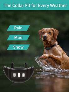 USB Rechargeable Automatic Anti-Bark Dog Collar, Waterproof Anti-Barking Training Collar, Control Collar, Smart Bark Stopper, Pet Supplies, Suitable For Small & Medium Dogs, All Breeds, Black