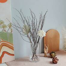 Galhos Secos Naturais de Bétula, Decoração, Acessórios Macios para Casa, Encher Vasos, Arranjo Floral para Sala de Estar, Estilo Zen, Páscoa, Natal