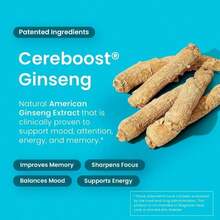 Neuro Memory &Amp; Focus Gum (90 Pieces) - Decaf &Amp; Sugar Free With American Ginseng, L Theanine, Vitamin B12 &Amp; Vitamin B6 For Mental Alertness - Brain Supplements For Memory And Focus - Peppermint Flavor - Flavor NameA - 查看 5