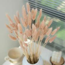 60/120/240 pièces Arrangements de fleurs artificielles avec herbe de pampa séchée naturelle et fleurs de pissenlit, convient pour la décoration de la maison, du mariage, du bureau et du café. Idéal comme cadeau pour la Saint-Valentin et la Fête des Mères.