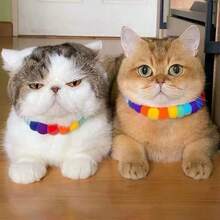 1 件宠物项圈，新款时尚宠物彩色毛球项圈