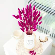 60/120/240 pièces Arrangements de fleurs artificielles avec herbe de pampa séchée naturelle et fleurs de pissenlit, convient pour la décoration de la maison, du mariage, du bureau et du café. Idéal comme cadeau pour la Saint-Valentin et la Fête des Mères.