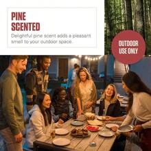 Vela perfumada de citronela para exteriores con mecha agrietada de madera, aroma de pino, 6 onzas paquete de 6 - Crema - Ver 4