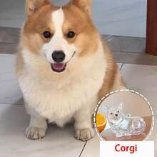 1pc Souvenirs, New Pet Hair Souvenirs Keychain