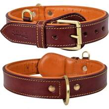 Pet Basic Dog Collars - Dark Brown - View 12