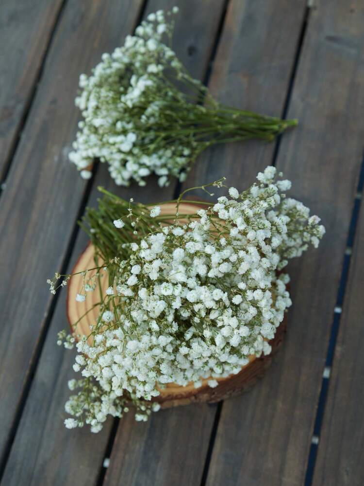 25/50/100/300pcs Artificial White Mini Dried Baby's Breath Flowers, Ivory Flower Vase Filler For Wedding, Home, Office, Party, Garden, Card Making, DIY Decor - Green Stem White Baby's Breath - View 3