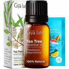 Gya Labs Australian Tea Tree Essential Oil For Skin 0.34 Fl Oz 100% Pure Natural Melaleuca Tea Tree Oil For Hair Face And Toenail Piercings Scalp And Candle Making Scent