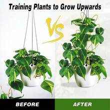 1/3 件，盆栽金色支架，小型攀爬植物支架，花卉可堆叠室内植物支架，心形藤蔓植物支架，室内装饰植物攀爬支架 - 金色 - 查看 4