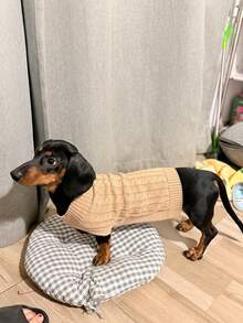 holdhoney 1 件腊肠犬毛衣，长狗毛衣，宠物服装，宠物毛衣，驼色英伦风格宠物毛衣，加长宠物毛衣，极简主义设计，情侣/闺蜜风格，适合贵宾犬、巴吉度猎犬、腊肠犬、比格犬、柯基犬、长体型犬，猫咪也可以穿，加长毛衣，个性化，小型犬，小型猫 - 駝色 - 查看 7