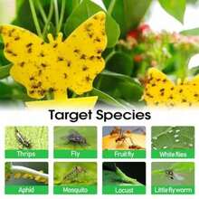 50 Pieces Of Random Shapes Flying Insect Traps For PlantsIndoors Outdoors Kitchen Office Yellow Sticky Traps For Fungus Gnat Fly And Flying Insects  And Odorless Kid And Pet  Economic Pack