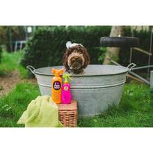 Limpieza en de cabezas de mascotas |   Champú en spray sin aclarado limpia el pelo de los perross sin agua.