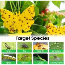 50 Pieces Of Random Shapes Indoors, Outdoors, Kitchen, Office, Yellow Sticky Traps For Fungus Gnat, Fly And Flying Insects,  & Odorless, Kid & Pet , Economic Pack 58 Pcs Flying Insect Traps For Plants,
