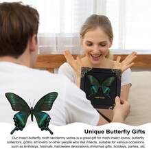 Real Butterfly Framed Wall Decor - Handmade Product Shadow Box For Gothic & Dark Product Aesthetic - 黑色 - 查看 7