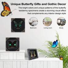 Real Butterfly Framed Wall Decor - Handmade Product Shadow Box For Gothic & Dark Product Aesthetic - 黑色 - 查看 2