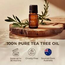 Gya Labs Australian Tea Tree Essential Oil For Skin 0.34 Fl Oz 100% Pure Natural Melaleuca Tea Tree Oil For Hair Face And Toenail Piercings Scalp And Candle Making Scent