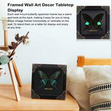 Real Butterfly Framed Wall Decor - Handmade Product Shadow Box For Gothic & Dark Product Aesthetic - 黑色 - 查看 5