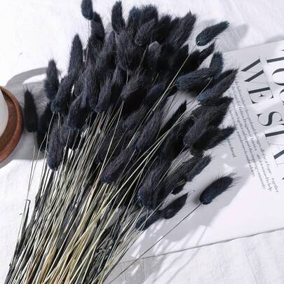 120 件黑色蒲苇干兔尾巴花迷你天然干花插花干花带茎适用于波西米亚风家居婚礼 DIY 工艺派对装饰圣诞节和万圣节