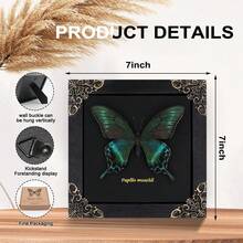 Real Butterfly Framed Wall Decor - Handmade Product Shadow Box For Gothic & Dark Product Aesthetic - 黑色 - 查看 4
