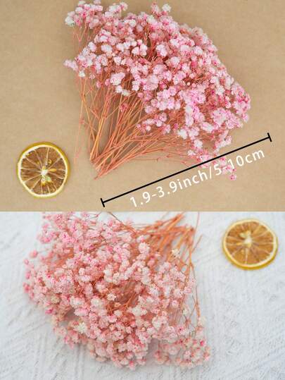 50/100 peças de mini flores artificiais secas de hálito de bebê, vaso de flores de marfim, decoração para casamento, casa, escritório, festa, jardim, confecção de cartões, faça você mesmo