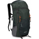 gris