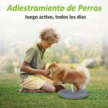 Cojín De Equilibrio De Estabilidad Al Aire Inflado, Core Balance Disc Trainer, Disco De Estabilidad Para Estado Físico Y La Estabilidad, Balancin Disc Para Ejercicio De Terapia Física Con Bomba - GRIS - Ver 3