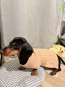holdhoney 1 件腊肠犬毛衣，长狗毛衣，宠物服装，宠物毛衣，驼色英伦风格宠物毛衣，加长宠物毛衣，极简主义设计，情侣/闺蜜风格，适合贵宾犬、巴吉度猎犬、腊肠犬、比格犬、柯基犬、长体型犬，猫咪也可以穿，加长毛衣，个性化，小型犬，小型猫 - 駝色 - 查看 6