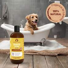 PETTING IS CARING - ALIVIA Shampoo para Perro Shampoo Natural Champú - Aloe Vera Fragancia de Lavanda 97% Ingredientes Origen Natural Mascotas Perros Gato - Nutrición - 480 ml - Ver 3