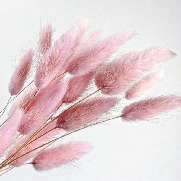 60/120/240 peças de flores artificiais estilo boêmio - rabos de coelho secos naturais, capim-dos-pampas - flores de dente-de-leão multicoloridas - decoração para casa, casamento, escritório, café - presentes para o Dia dos Namorados e Dia das Mães