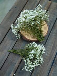 25/50/100/300pcs Artificial White Mini Dried Baby's Breath Flowers, Ivory Flower Vase Filler For Wedding, Home, Office, Party, Garden, Card Making, DIY Decor - Green Stem White Baby's Breath - View 3