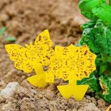 50 Pieces Of Random Shapes Flying Insect Traps For PlantsIndoors Outdoors Kitchen Office Yellow Sticky Traps For Fungus Gnat Fly And Flying Insects  And Odorless Kid And Pet  Economic Pack