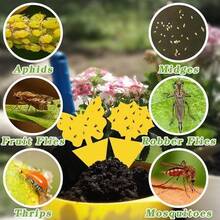 Random Shapes Landisun Fruit Fly Traps 50PCS Fungus Gnat-Traps For Indoor-Outdoor Yellow Fruit-Fly Sticky-Trap Plants Flying Bug Insects Traps