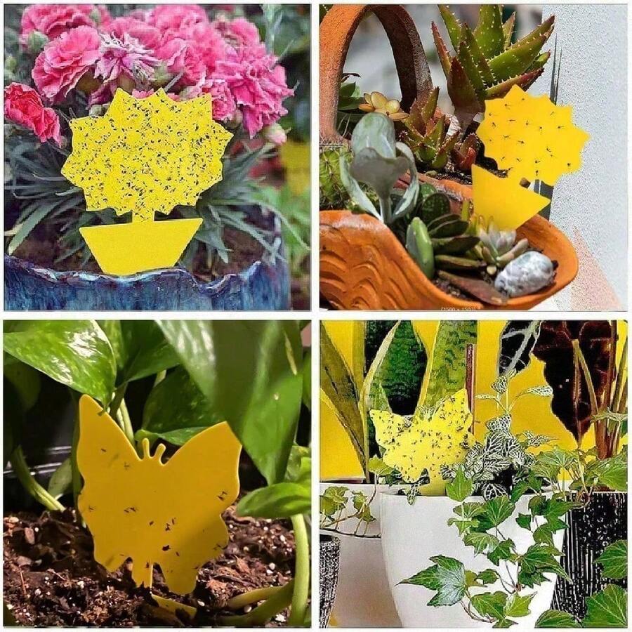 50 Pieces Of Random Shapes Indoors, Outdoors, Kitchen, Office, Yellow Sticky Traps For Fungus Gnat, Fly And Flying Insects,  & Odorless, Kid & Pet , Economic Pack 58 Pcs Flying Insect Traps For Plants,