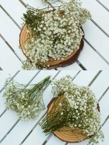 25/50/100/300pcs Artificial White Mini Dried Baby's Breath Flowers, Ivory Flower Vase Filler For Wedding, Home, Office, Party, Garden, Card Making, DIY Decor - Green Stem White Baby's Breath - View 9