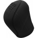 màu đen