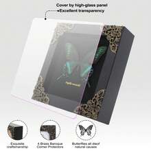 Real Butterfly Framed Wall Decor - Handmade Product Shadow Box For Gothic & Dark Product Aesthetic - 黑色 - 查看 3