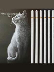 5支装白色炭笔，美术学生素描绘画专用软白炭笔，天然木质笔芯，笔芯较粗，适合美术学生、高光素描、混色、速写、专业绘画 - 彩色 - 查看 3