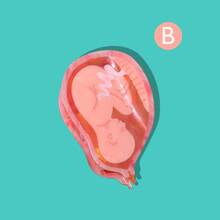 这款个性化骷髅头发夹，搭配新颖的肺、子宫和胃造型发爪，是送给医学爱好者和医疗创业者的最佳礼物。母亲节装饰发夹，秋季发饰，时尚发夹，优雅发卡，适合冬季度假装扮，夏季海滩风情。 - 彩色 - 查看 12