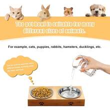 5 PCS Stainless Steel Bowl - Shallow Wide Flat Cats Food Bowls, Metal Kitten Dishes Whisker Friendly Fatigue Relief, Basic Plates Elevated Stand, Dishwasher Safeu2026 - Set of 5 - 查看 6