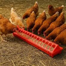 1 件耐用家禽喂食器，适用于鸟类、雀类、雏鸡、鸡、鸭、鹅 - 非电动，易于清洁的圆形饮水器，带安全盖，非常适合农场和后院喂鸟，防倾倒设计，适用于雏鸡、鸡饲料槽、鸡喂食器、鸡食碗、鸽子、鹌鹑 - 彩色 - 查看 11