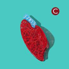 这款个性化骷髅头发夹，搭配新颖的肺、子宫和胃造型发爪，是送给医学爱好者和医疗创业者的最佳礼物。母亲节装饰发夹，秋季发饰，时尚发夹，优雅发卡，适合冬季度假装扮，夏季海滩风情。 - 彩色 - 查看 14