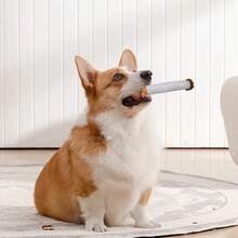 1 Set de Juguetes Interactivos para Perros, Juguete Divertido con Chirrido y Forma de Cigarrillo, Juguete Interactivo para Perros Pequeños, Medianos y Grandes, Regalo de Cumpleaños