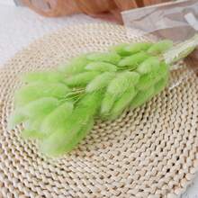 Boho Chic Artificial Pampas Grass - Natural Dried Hare's-Tail Grass In White & Beige, Rustic Vase Filler For Home & Outdoor Decor, Perfect For Easter, St. Patrick's Day, Valentine's, Mother's Day & Graduation Centerpieces & Crafts, No Power Needed, Garden Decorations - Multicolor - View 20