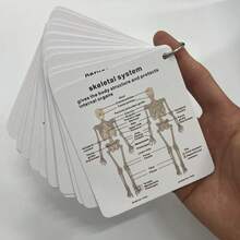 Anatomy Flashcards - Comprehensive Learning Guide For Medical And Nursing Studies, Includes Illustrations Of Skeletal, Muscular, Digestive, Reproductive, Respiratory And Circulatory Systems - Ideal Gift For Students, Prompt Cards, Study Flashcards - White - View 9